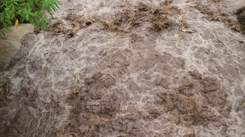A turbulent floodwater surging over rocky streambed, creating foamy brown rushing current and rapids with swirling patterns beside green vegetation after intense heavy rainfall conditions