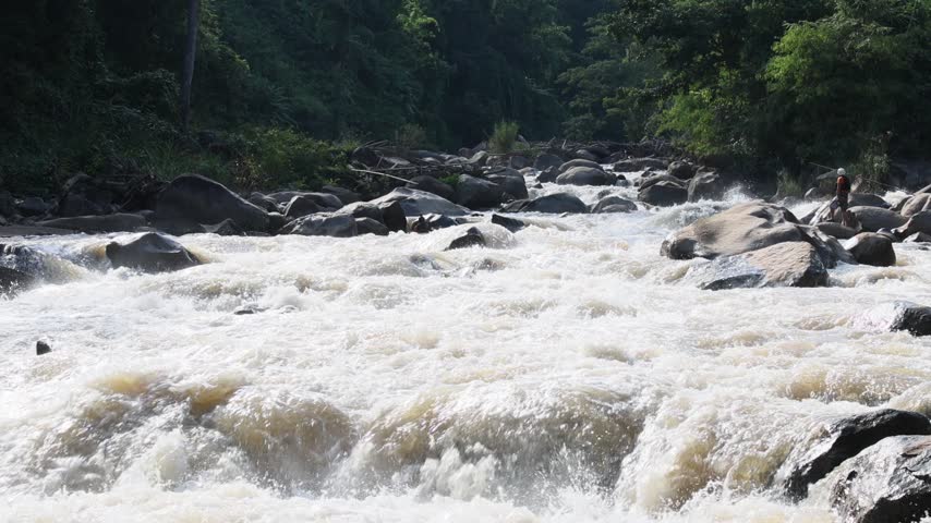 A whitewater river rapids rushing through forest mountain gorge over granite boulder, foamy water creating powerful motion across rugged wilderness landscape and outdoor adventure