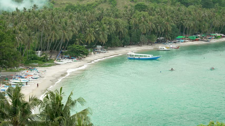 Tropical beach with boats anchored near shore and palm trees lining the coastline