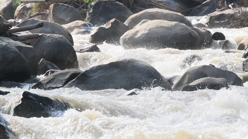 A rushing river water flowing around smooth granite boulder, creating energetic whitewater rapids, textured stream current movement, natural mountain landscape and refreshing outdoor scenery