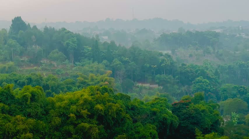An aerial view of the trees and fog in the mountain area.