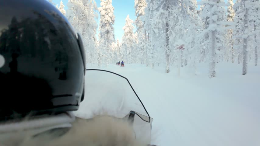 A snowmobile travels along a snowy trail through frost-covered trees in Lapland, Finland, during winter, surrounded by a quiet, bright Arctic landscape.