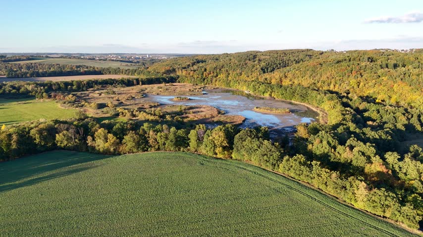 Smooth aerial footage of a large pond surrounded by wetlands, reed beds and floodplain forests in a protected nature reserve rich in birdlife.