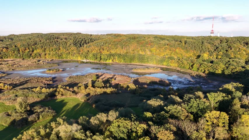 Aerial view of a protected wetland nature reserve with shallow ponds, marsh vegetation and surrounding autumn forests.