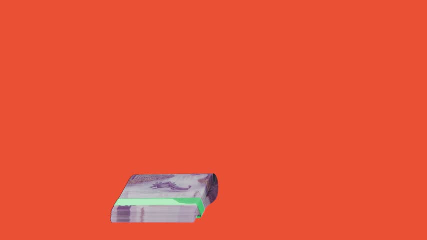 Realistic Mexico 50 MXN Money Stack