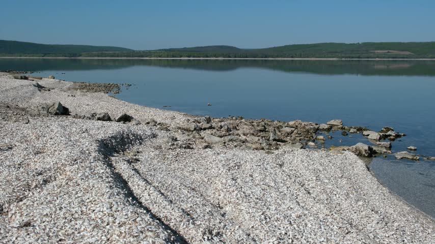 River landscape with a shell-strewn shore