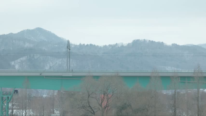 Subway Train Crossing Dangsan Railway Bridge Over Han River In Seoul, South Korea With Mountains In Background. wide static shot
