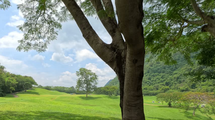 Lush green golf course fairway nestled among tropical mountains and trees in Thailand