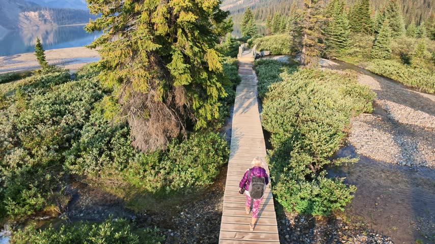 Hiker exploring the scenic boardwalk trail alongside Bow Lake, surrounded by green shrubbery and coniferous trees, with Rocky Mountains reflecting in water on sunny day in Banff NP, Alberta, Canada.