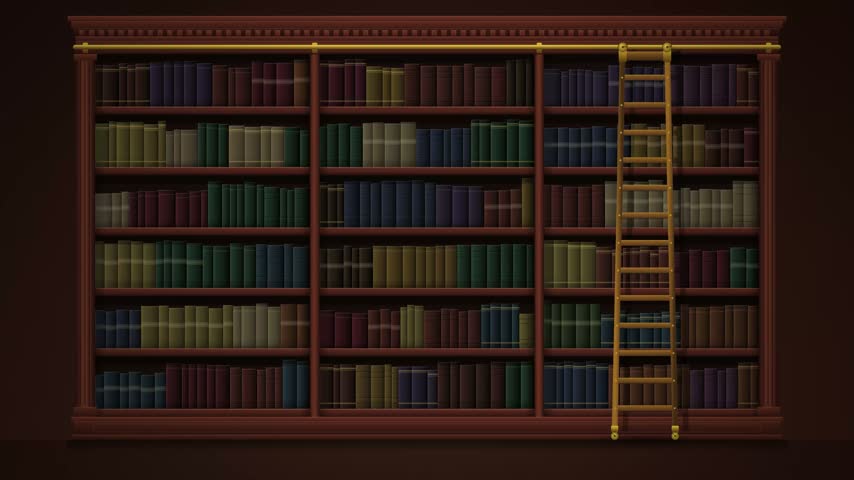 A wooden ladder slides horizontally across a massive multi-colored bookshelf filled with many books in a dimly lit library setting.