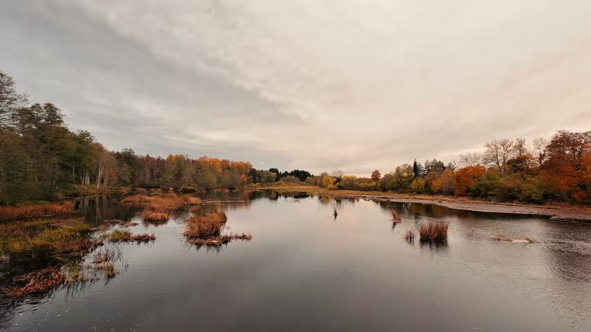 Water reflects the autumn trees and clouds at a lake bordered by marsh plants.