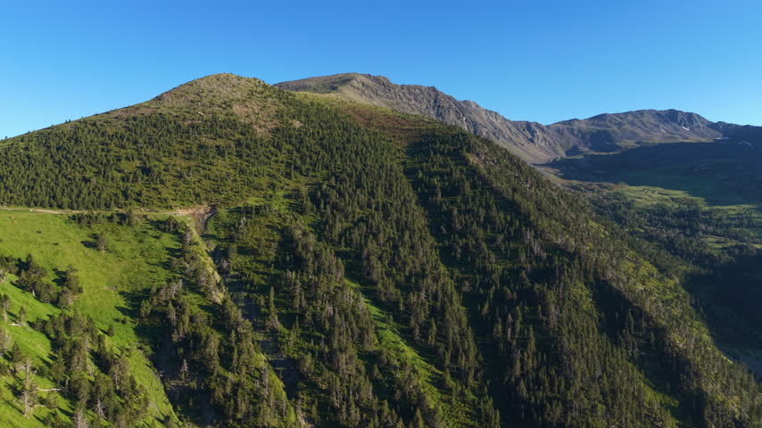 Green conifer-covered mountain slopes and a rocky ridge rising under a clear blue sky in the Pyrenees of Andorra