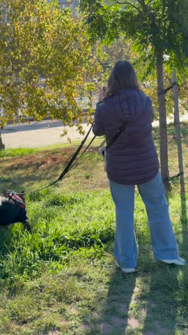 Rear view of a woman holding a leash while her black dog explores the grass beneath leafy trees on a bright autumn day in an urban park.