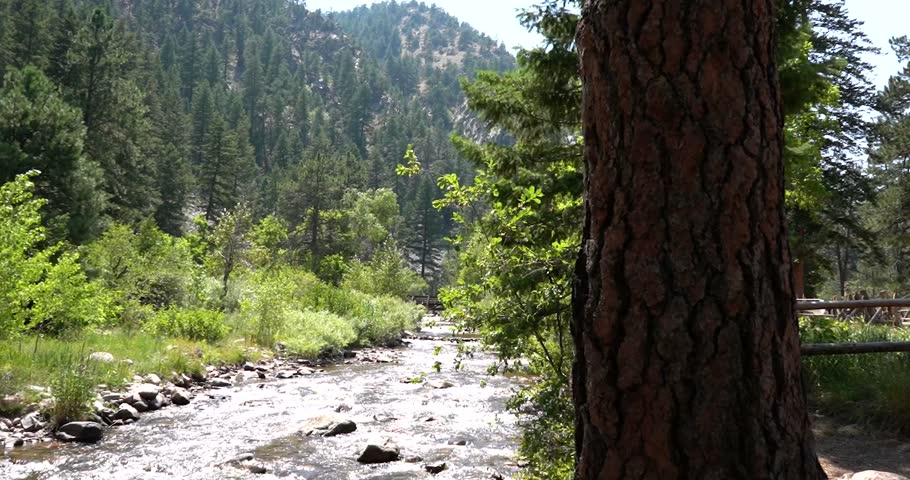 South Boulder Creek flowing behind a tree trunk in Eldorado Canyon State Park, Colorado