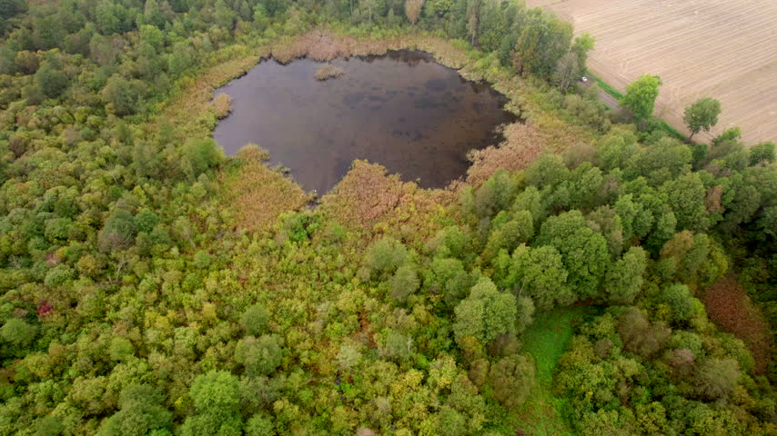 an aerial view of a pond in a forested area with autumn colors, showing the landscape from above