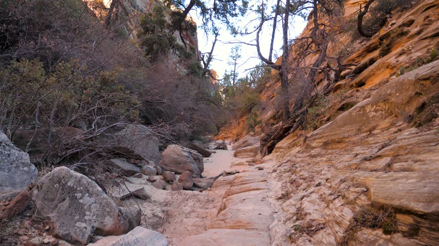 Camera moving forward along sandy wash inside a narrow sandstone canyon flanked by steep rocky walls and desert vegetation, showcasing the rugged wilderness. Zion national park utah