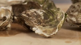 An oyster being opened with an oyster knife