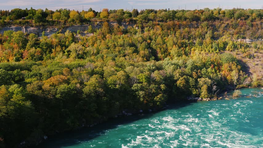 Aerial view of fast flowing turquoise water of Niagara river passing lush autumn forest scenery on riverbank.