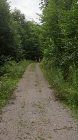 Two hikers walking away on narrow gravel forest trail surrounded by dense green trees and undergrowth, overcast summer day, mid-distance viewpoint, winding path leading into woods, natural outdoorjour
