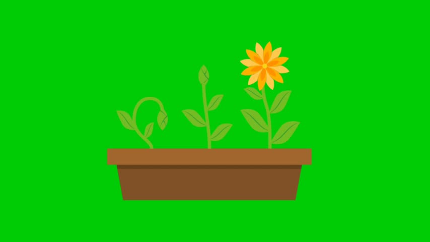 A Visual Introduction to Modern Science Featuring Laboratory Equipment, Microscopic Organisms, and Plant Development