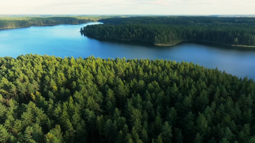 Aerial view of autumn forest lake with pine trees and yellow foliage