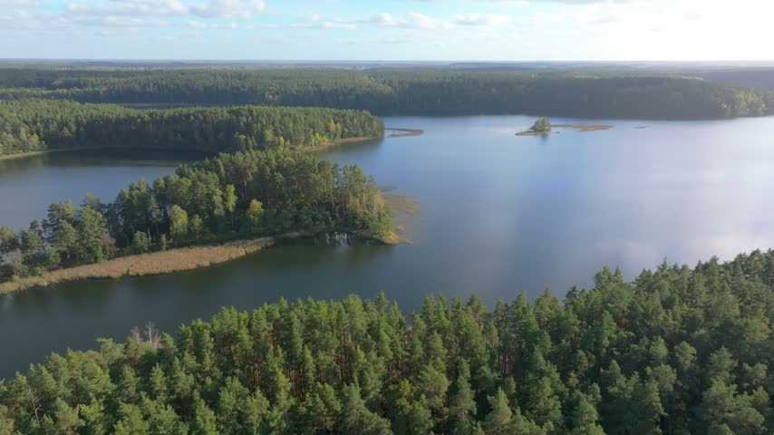 Aerial view of autumn forest lake with pine trees and yellow foliage