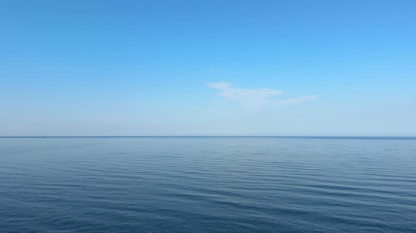 Calm sea, blue sky and flying swallows.