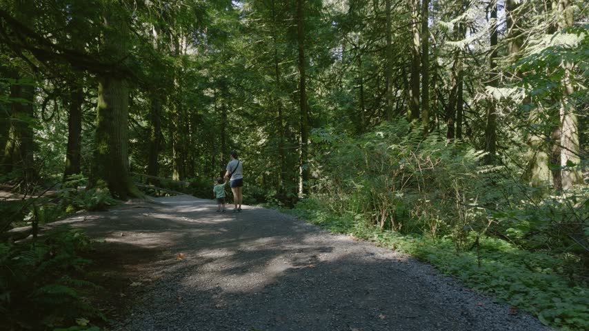 Parent and Child Enjoy a Peaceful Walk Through a Lush Forest in Chilliwack, British Columbia