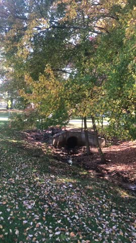 Sunny autumn day in a park 