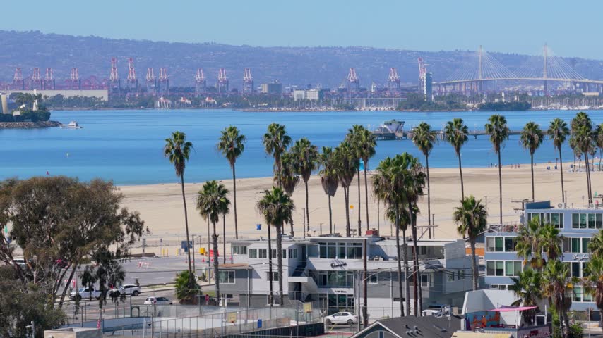 Tall palm trees line the sandy shore of Long Beach, California, with beachfront apartments below. Red port cranes, a cable-stayed bridge and a marina sit across the calm blue bay on a sunny day.