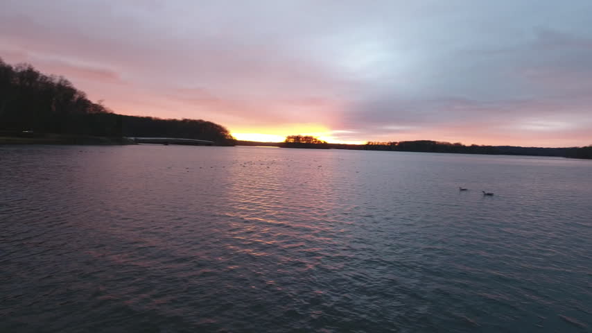 Low aerial drone shot gliding over Loch Raven Reservoir at pink dusk as geese and birds rest on and lift off the water, with a wooded shoreline. Maryland, USA.