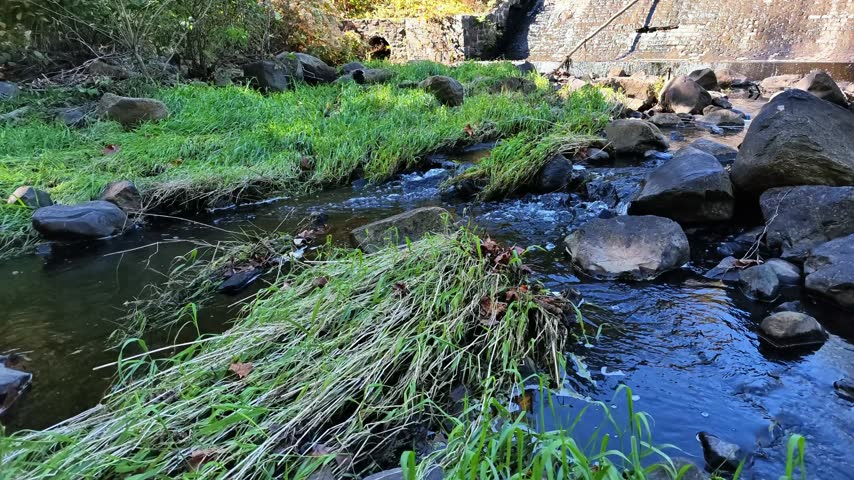 A small dam forming a waterfall in a nature preserve in New Jersey, United States.