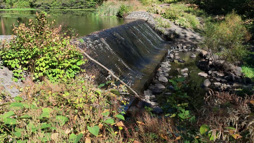 A small dam forming a waterfall in a nature preserve in New Jersey, United States.