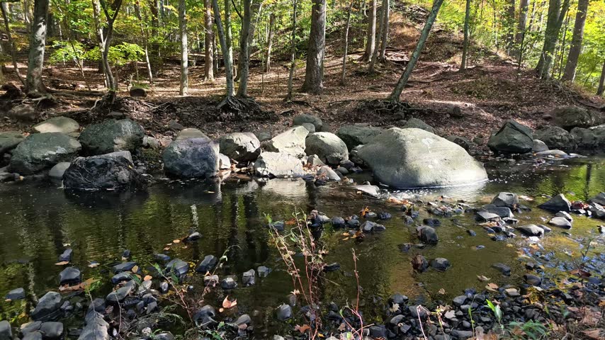 Large natural boulders and rocks lying in the bed of a forest stream.