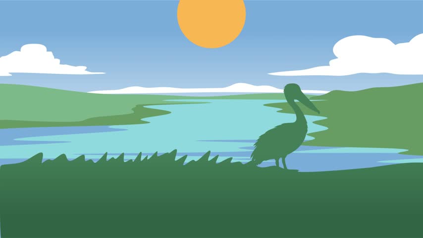 Stunning sky views and beautiful nature in Everglades National Park