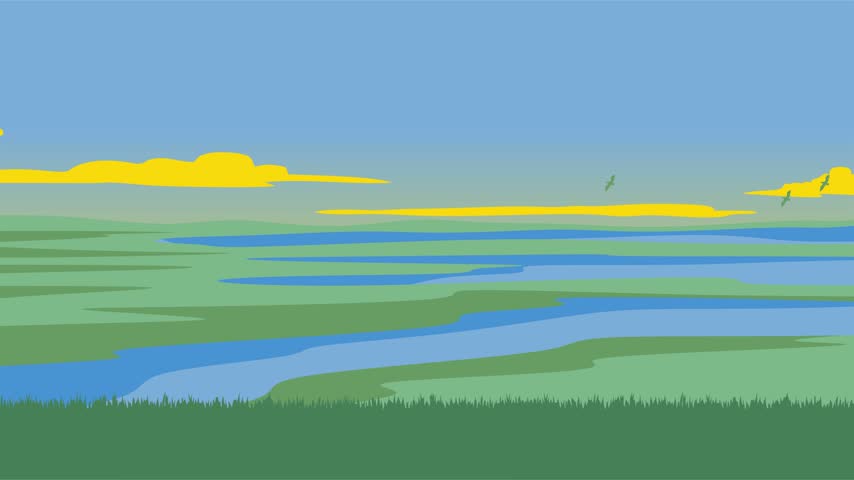 Stunning sky views and beautiful nature in Everglades National Park