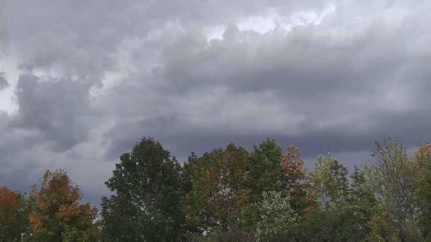 Dark storm clouds looming over colorful autumn trees during a cloudy fall day
