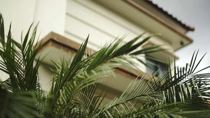 Modern tropical house exterior with green plants in daylight