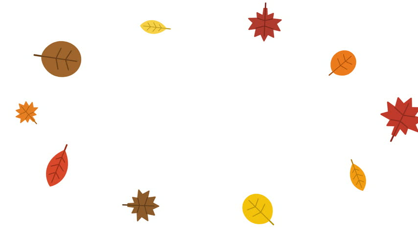 Flat illustration of colorful autumn leaves including maple and oak falling against a clean white background. Perfect for seasonal greetings and fall sales videos.