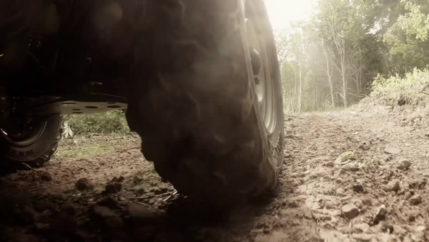 A four wheeler driving through the forrest