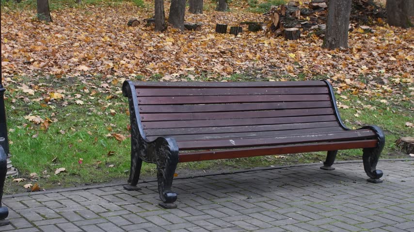 autumn nature in a recreation park