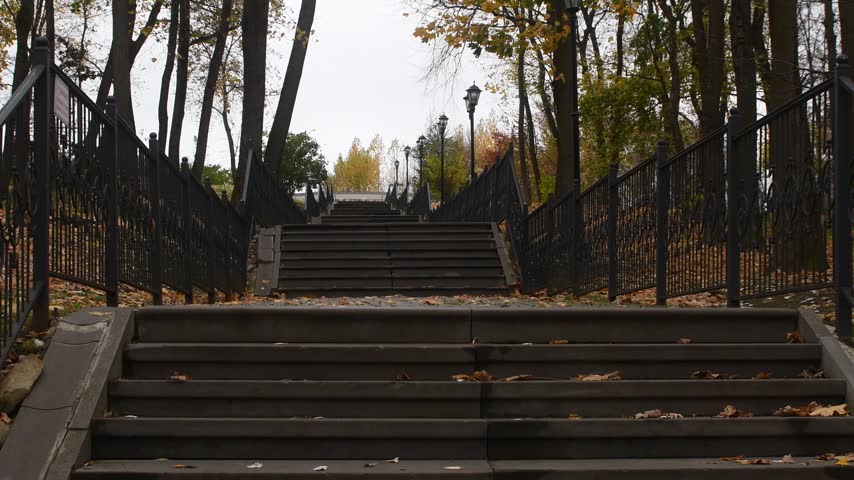 autumn nature in a recreation park