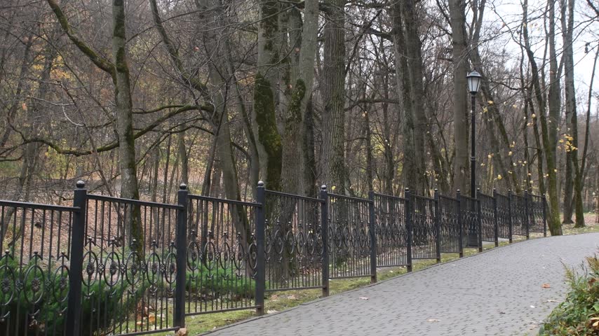 autumn nature in a recreation park