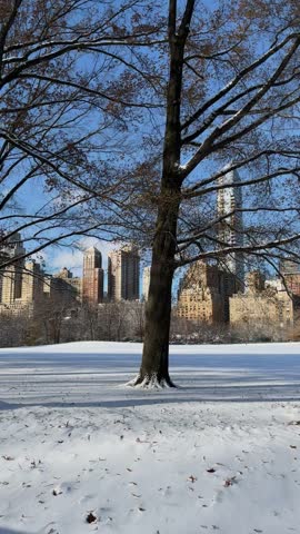 Slow pan across a snow-covered meadow and bare trees in Central Park with Upper West Side buildings under a blue sky after a snowfall, New York City