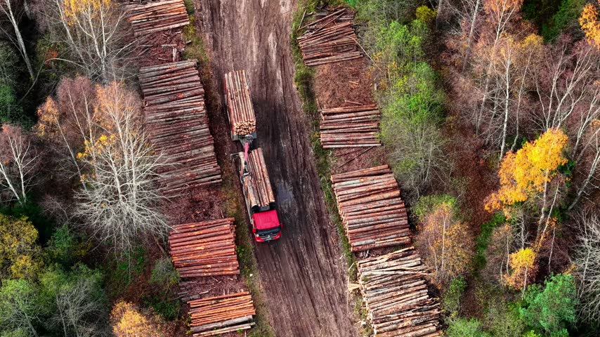Aerial view of lumber truck transporting logs along gravel road surrounded by autumn trees