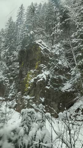 A moving view passes a mossy rock face beside a stream in a snow-covered forest.