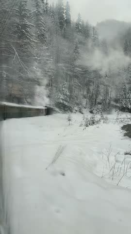 A train passes small snow-covered conifers beside a river in a wooded winter valley.