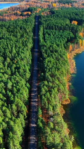 Aerial view of winding road through mixed forest transitioning to tranquil lake scenery
