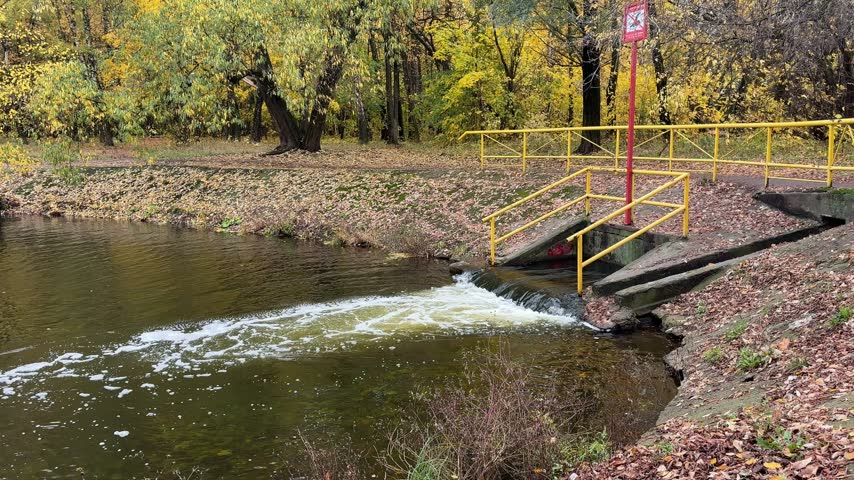 Flowing Water Over a Small Dam in an Autumn Park