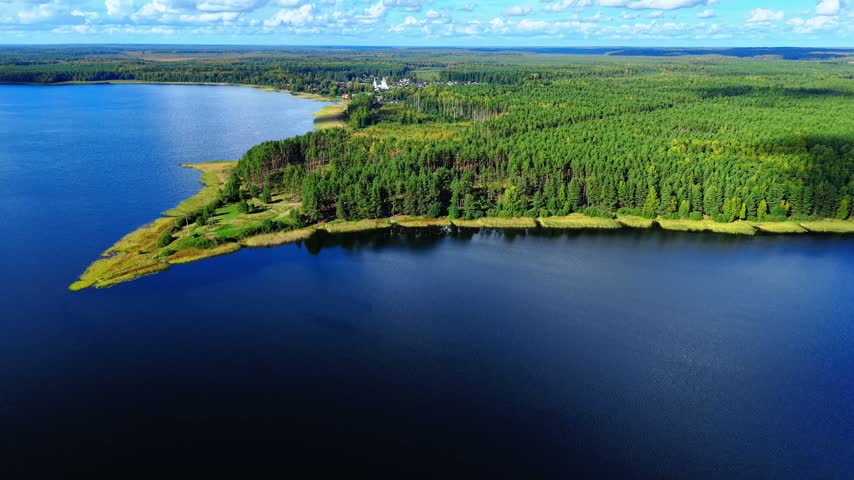 Aerial view of the confluence between a lush forest and a peaceful lake under a bright sky
